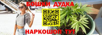 крисы Балаково