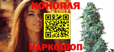 крисы Балаково