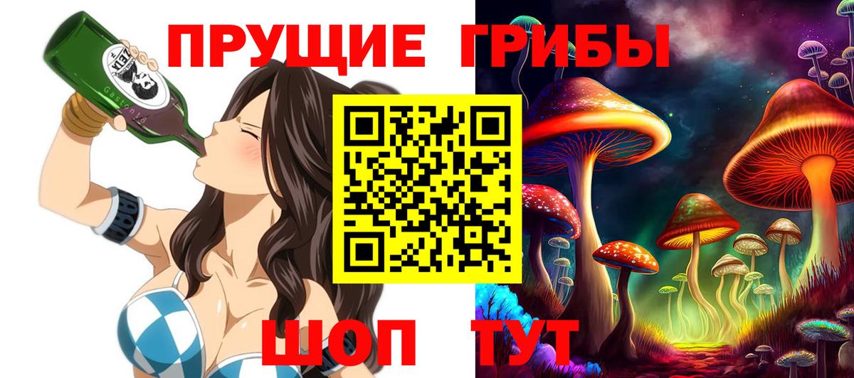 Егорьевск  Псилоцибиновые грибы MAGIC MUSHROOMS  Галлюциногенные грибы прущие грибы  Вход с VPN 