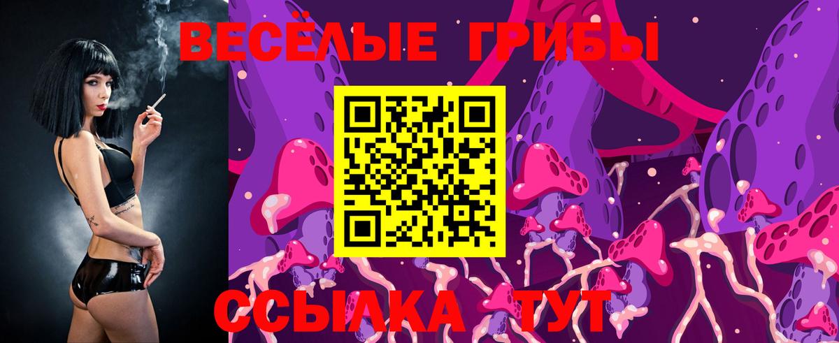 Псилоцибиновые грибы Cubensis Егорьевск